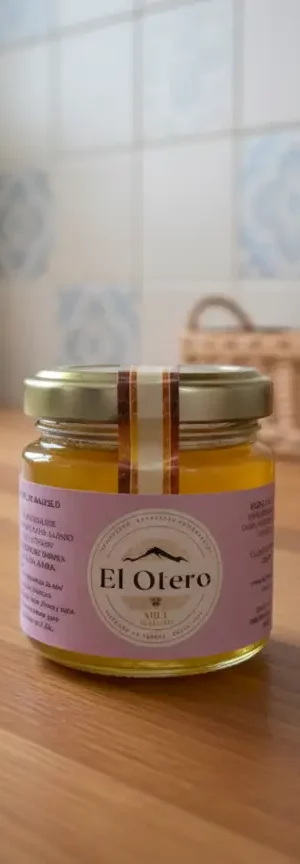 20 Tarritos 120gr Miel de Majuelo