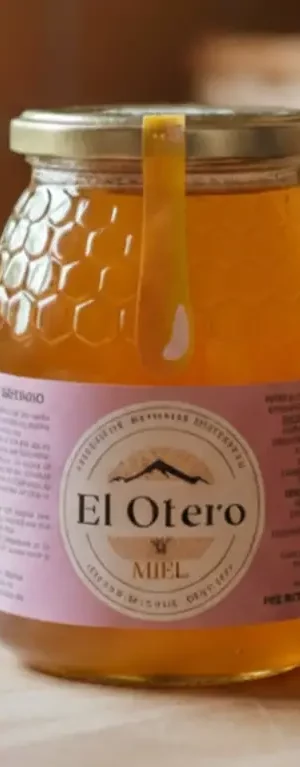 Tarro 1kg Miel de Majuelo