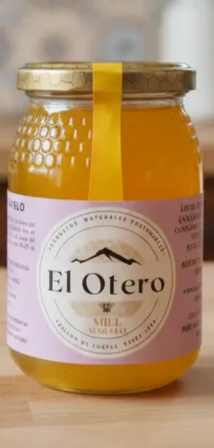 Tarro 500gr Miel de Majuelo