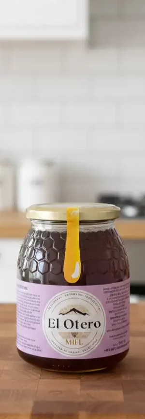 Tarro 1kg Miel Multifloral de Verano